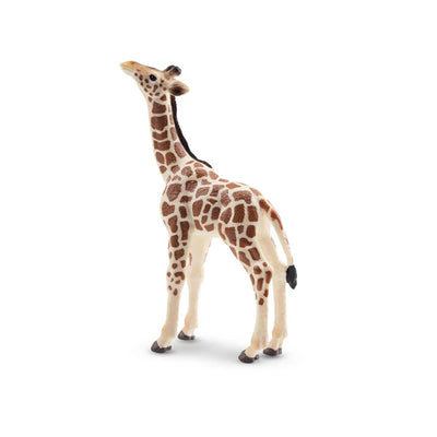 Toymany Girafon
