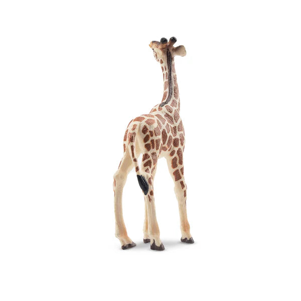 Toymany Girafon