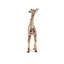 Toymany Girafon