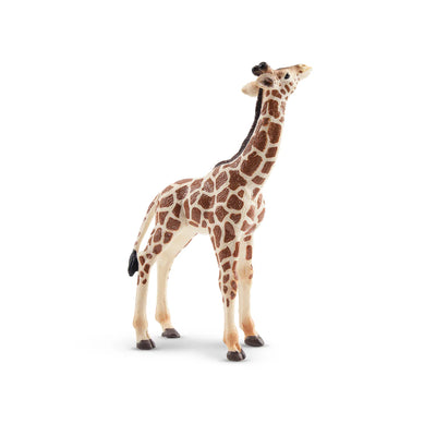 Toymany Girafon