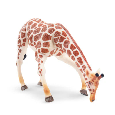Toymany Girafe broutant