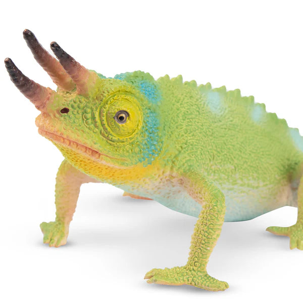 Toymany Caméléon de Jackson