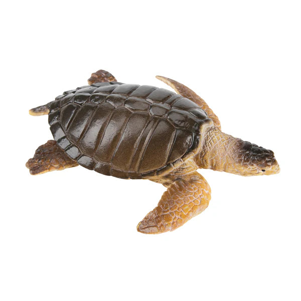 Toymany Tortue de Mer olivâtre