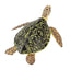 Toymany Tortue de Mer verte