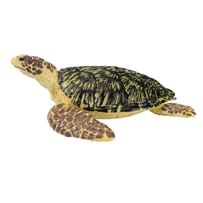 Toymany Tortue de Mer verte