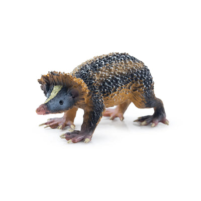 Toymany Tenrec Strié des Basses Terres