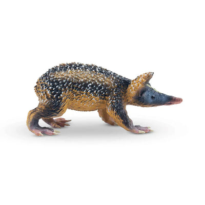 Toymany Tenrec Strié des Basses Terres