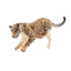 Toymany Female Jaguar Lying Down