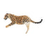 Toymany Female Jaguar Lying Down