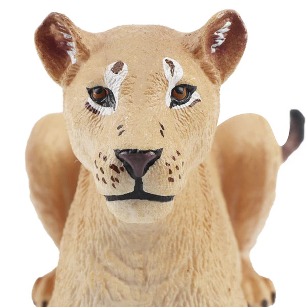 Toymany Lioness lying down