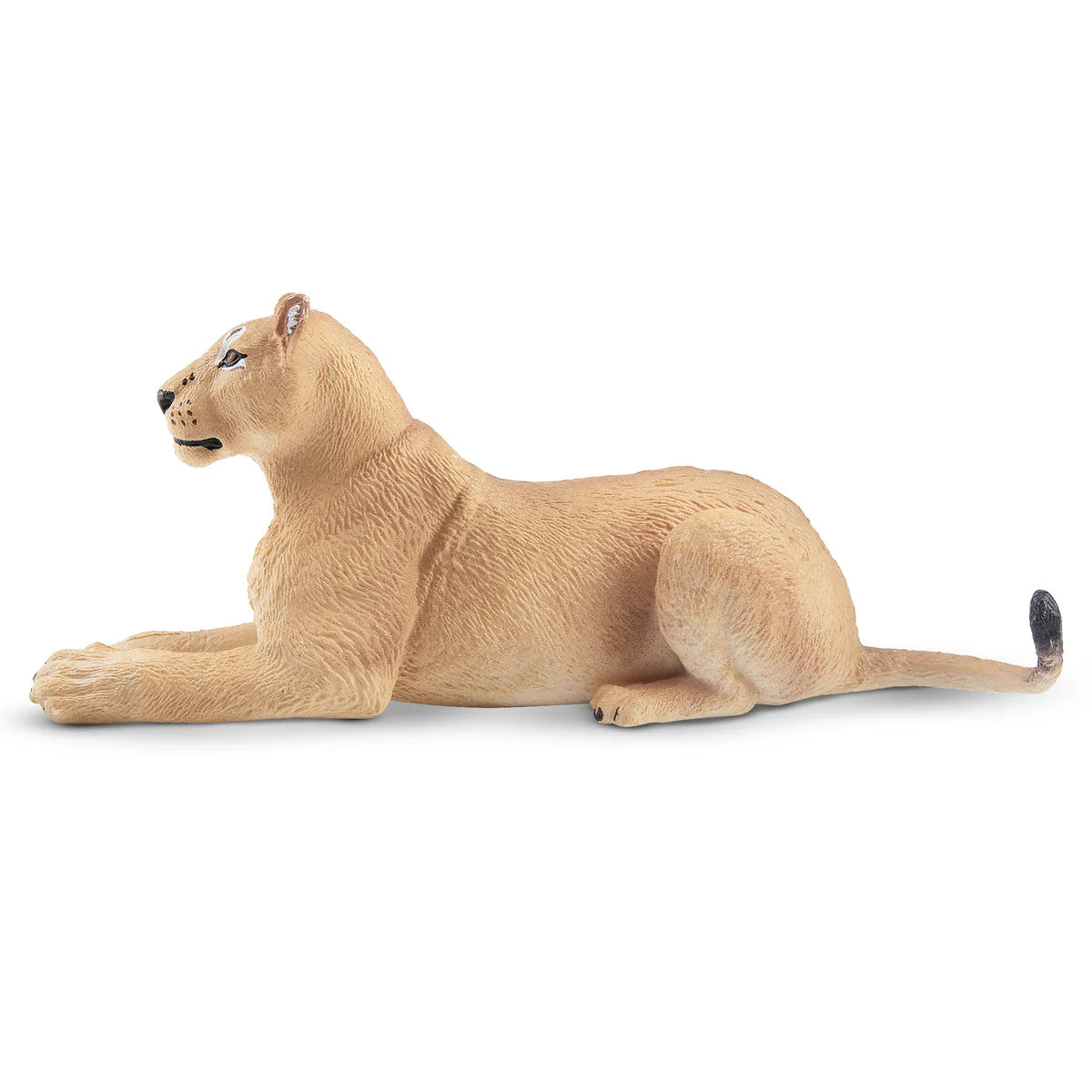 Toymany Lioness lying down