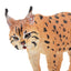 Toymany Lynx