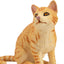 Toymany American Wirehair cat orange