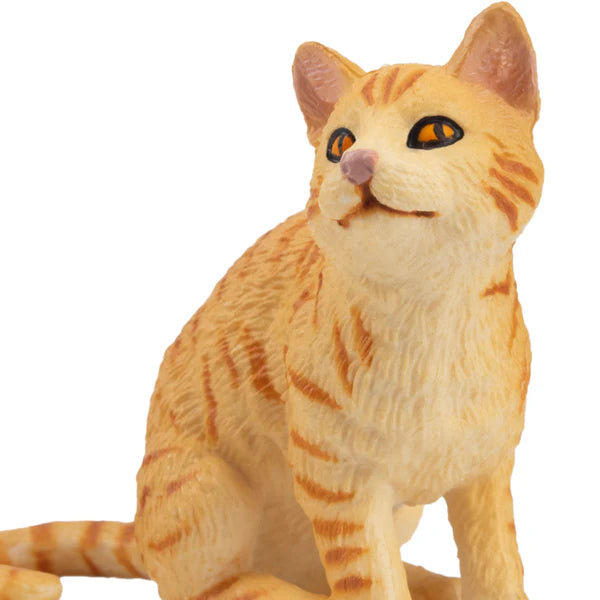 Toymany American Wirehair cat orange