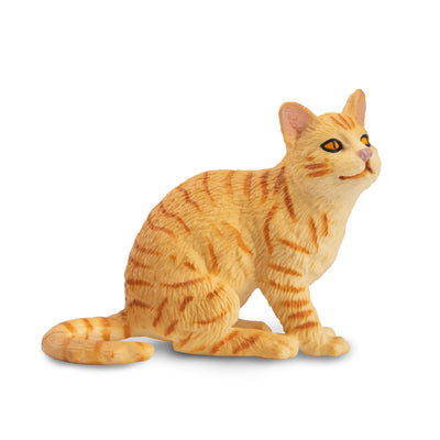 Toymany Chat American Wirehair orange