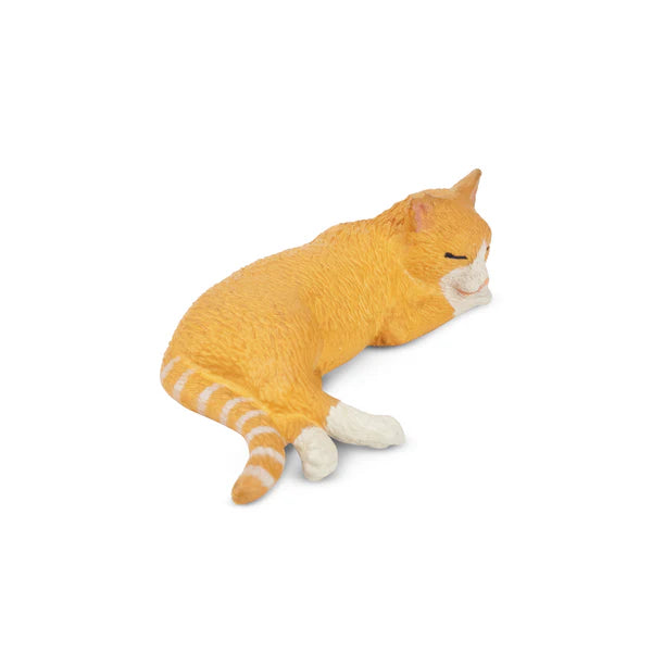 Toymany Chat orange endormi