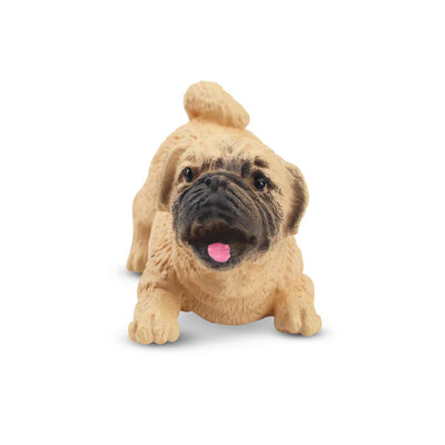 Toymany Chiot Carlin joueur