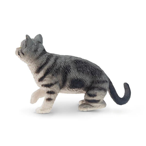 Toymany Gray American Shorthair Cat
