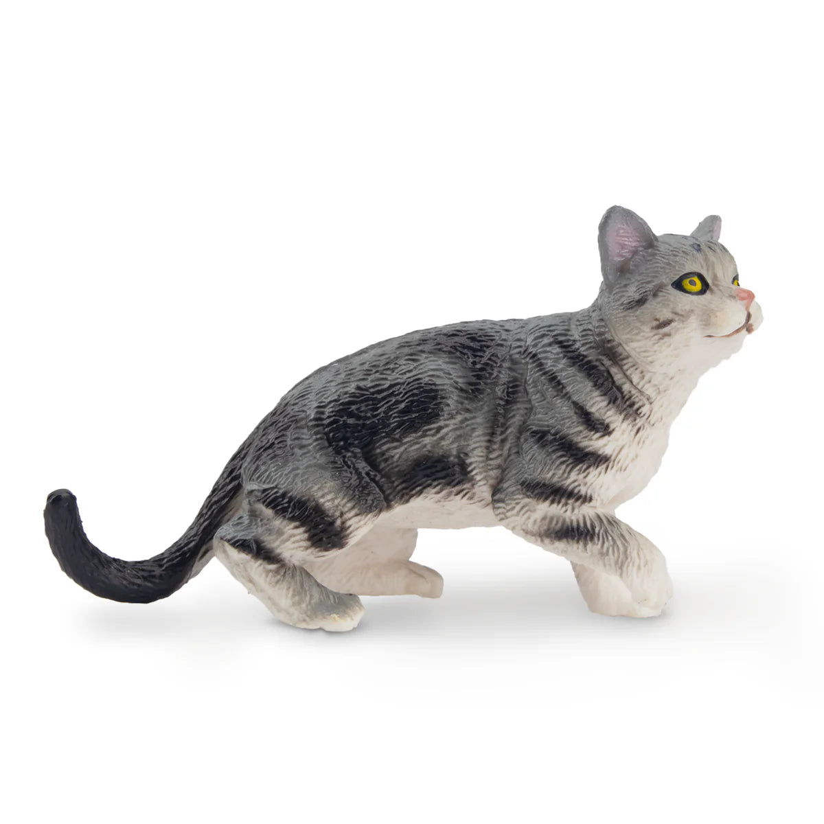 Toymany Gray American Shorthair Cat