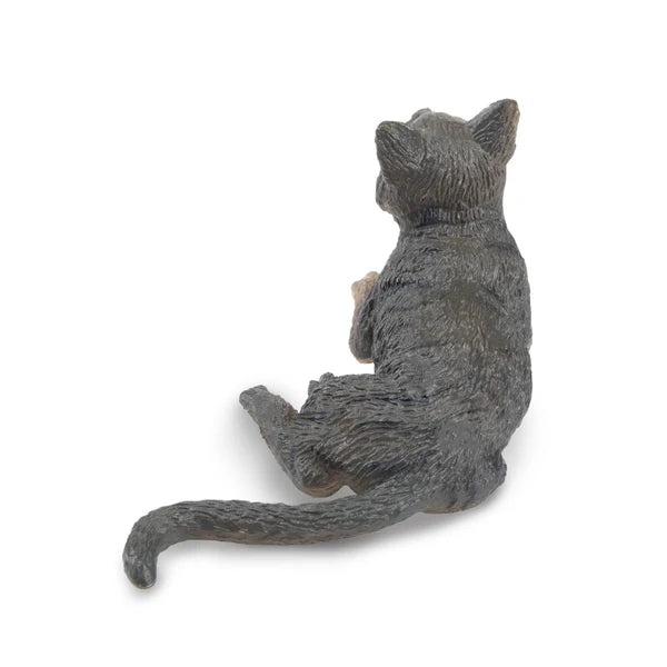 Toymany Chat American Wirehair gris couché