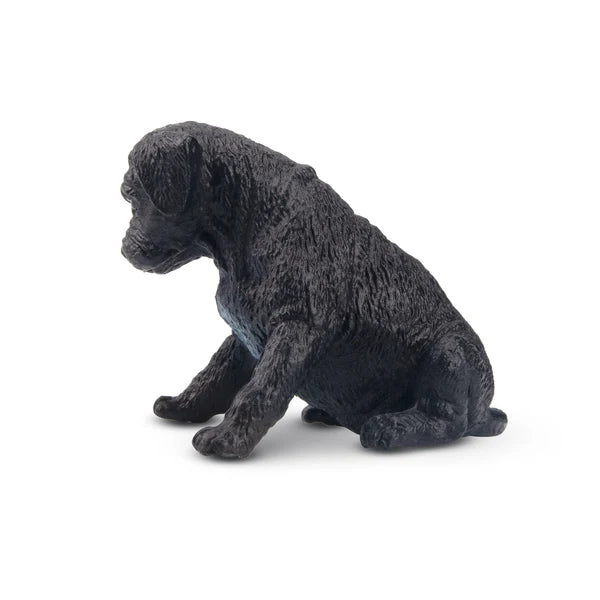 Toymany Chiot Grand Danois noir assis