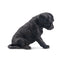 Toymany Chiot Grand Danois noir assis