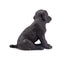 Toymany Chiot Labrador assis