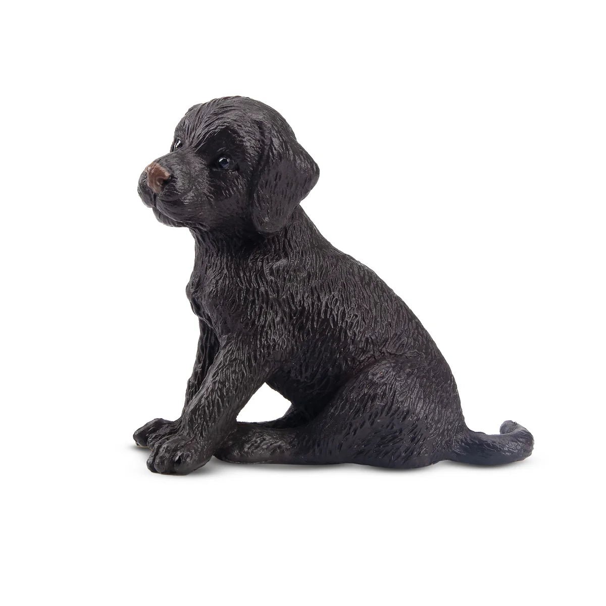 Toymany Chiot Labrador assis