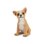 Toymany Chiot Chihuahua assis