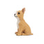 Toymany Chiot Chihuahua assis
