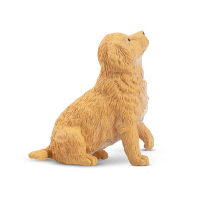 Toymany Chiot Golden Retriever assis