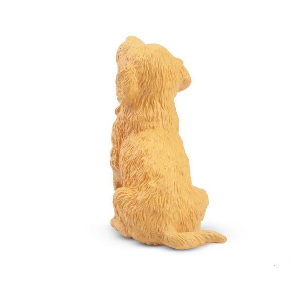 Toymany Chiot Golden Retriever assis