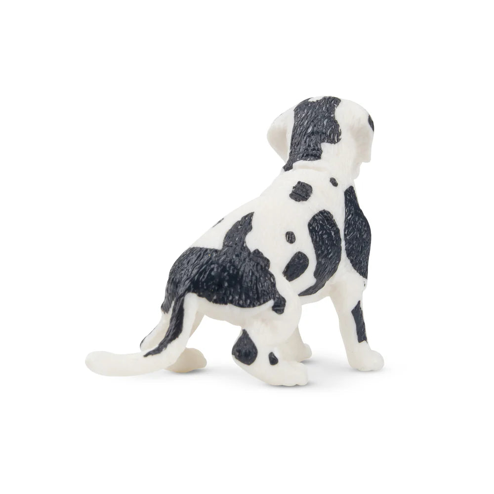 Toymany Black and White Great Dane Puppy