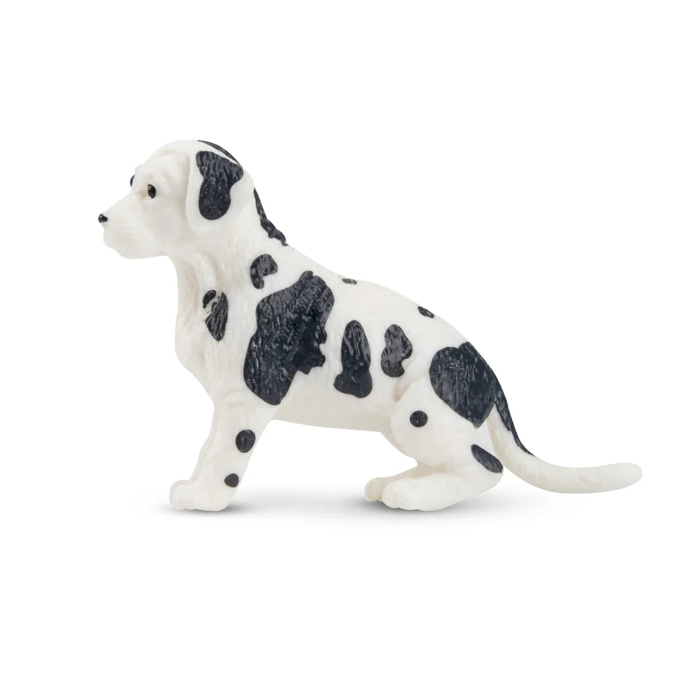 Toymany Black and White Great Dane Puppy