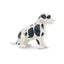 Toymany Black and White Great Dane Puppy