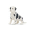 Toymany Black and White Great Dane Puppy