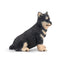 Toymany Chiot Shiba Inu assis