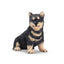 Toymany Chiot Shiba Inu assis