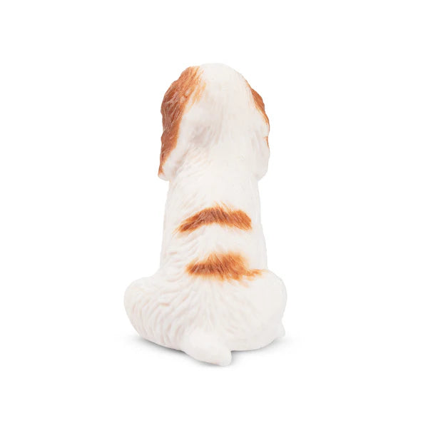 Toymany Chiot Cocker assis