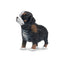 Toymany Bernese Mountain Dog Puppy Standing
