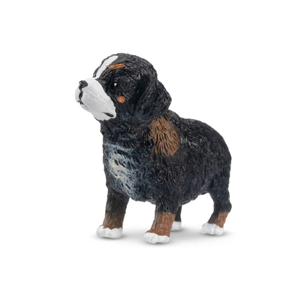Toymany Bernese Mountain Dog Puppy Standing