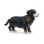 Toymany Bernese Mountain Dog Puppy Standing