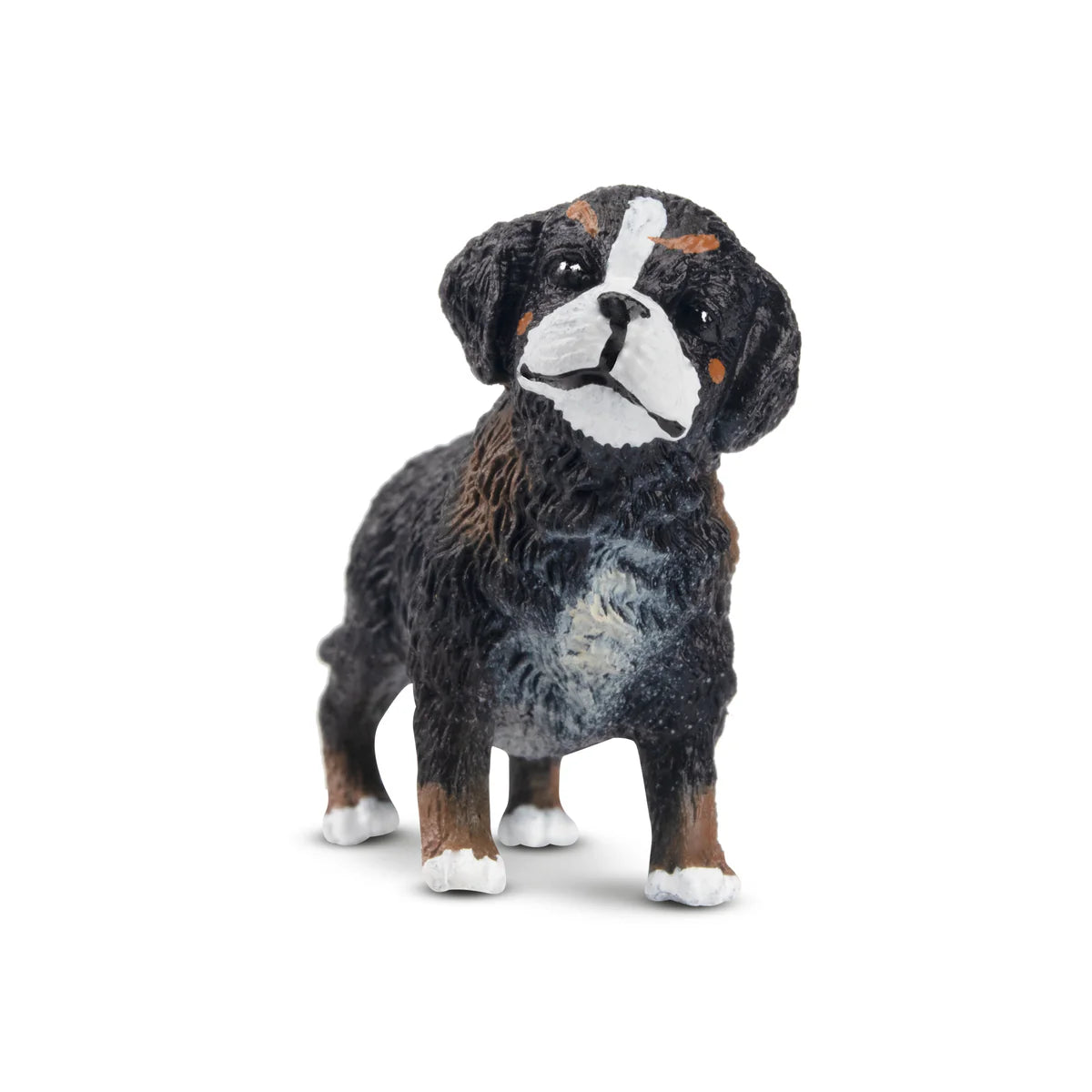 Toymany Bernese Mountain Dog Puppy Standing