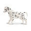 Toymany Chiot Dalmatien debout