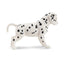 Toymany Chiot Dalmatien debout