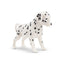 Toymany Chiot Dalmatien debout