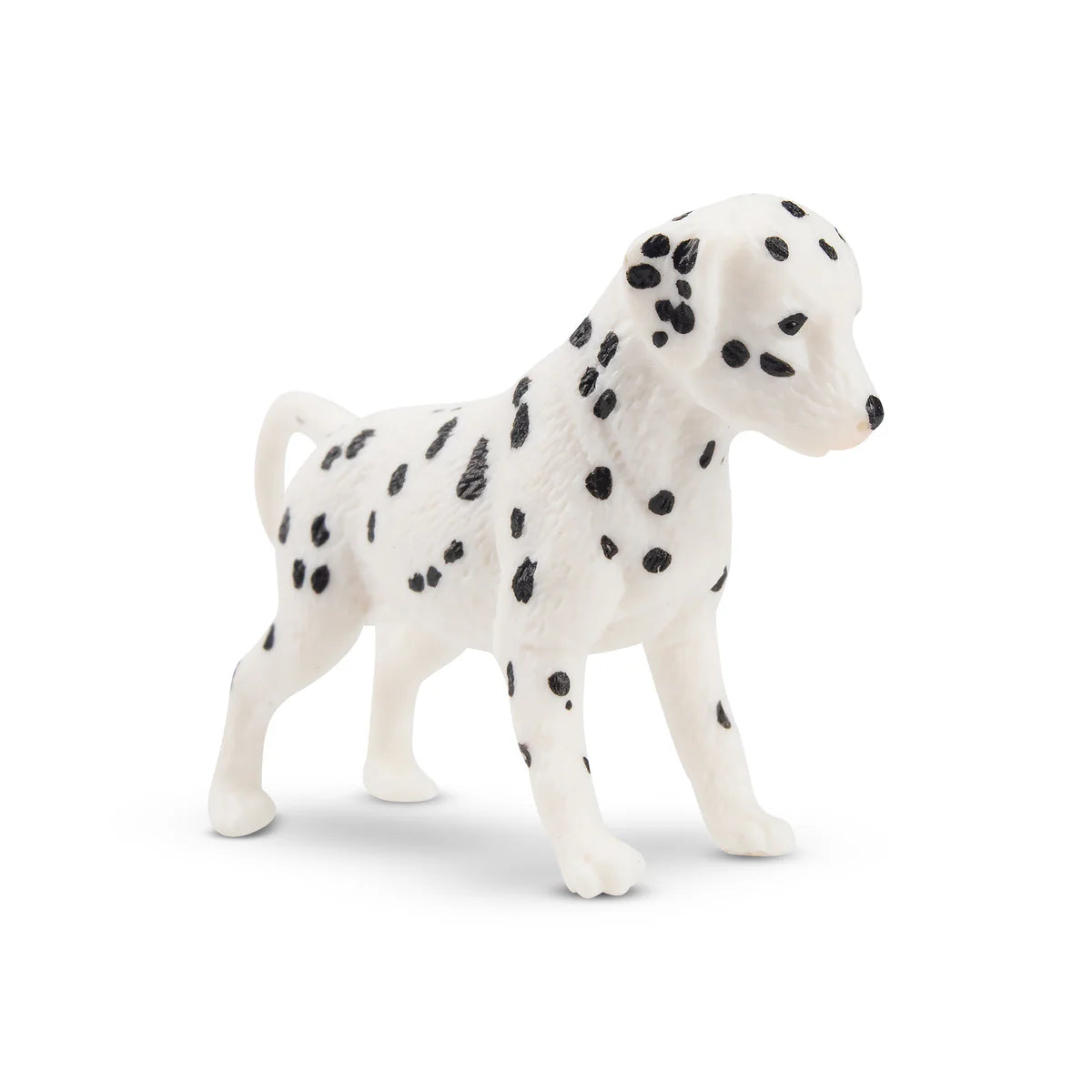 Toymany Chiot Dalmatien debout