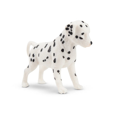 Toymany Chiot Dalmatien debout