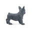 Toymany French Bulldog Puppy Standing