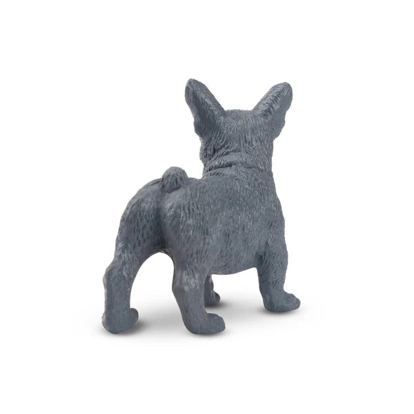 Toymany French Bulldog Puppy Standing